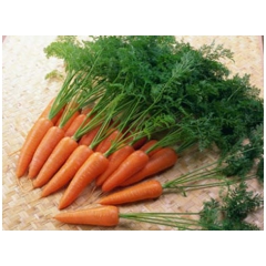 Cà rốt (Rau sạch)